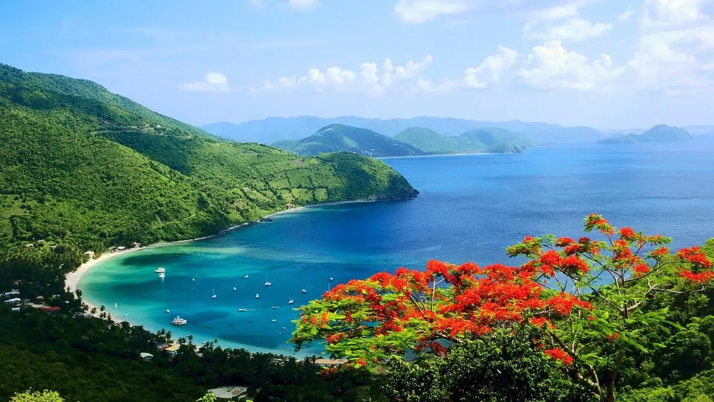 稳定性高质量
