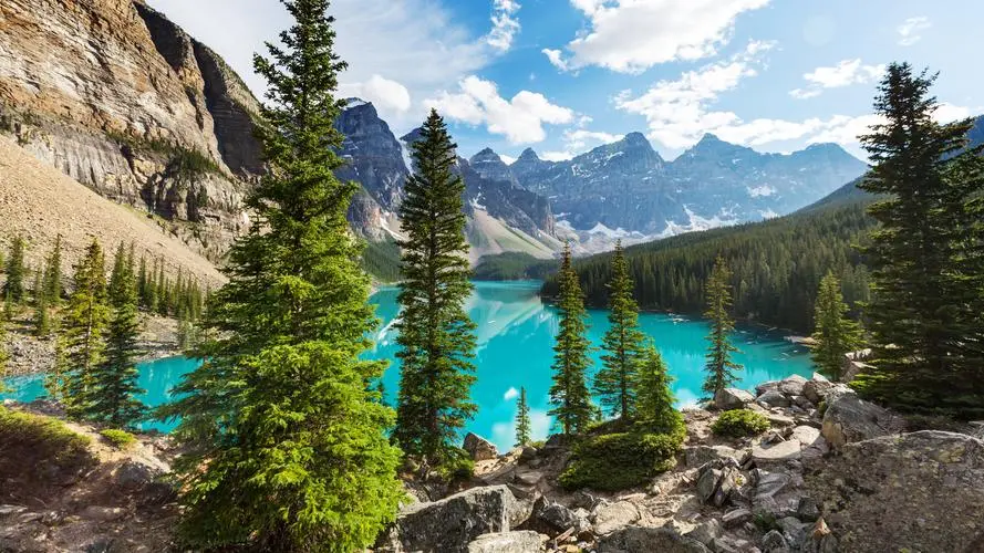 创意高质量智慧城市